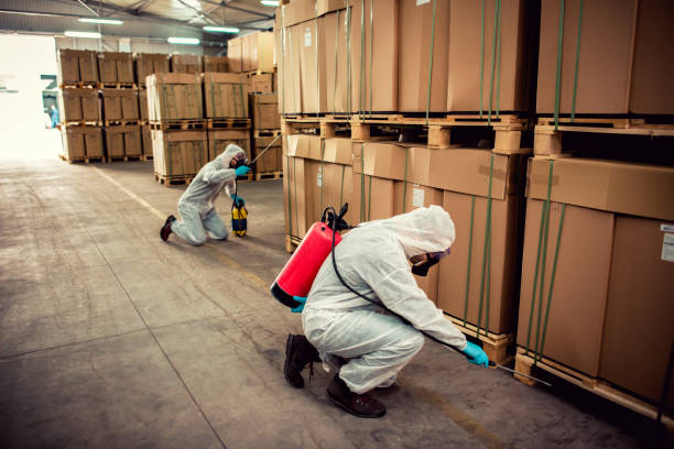 Best Termite Control Services  in Newport, AR