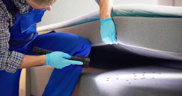 Best Flea Control Services  in Newport, AR